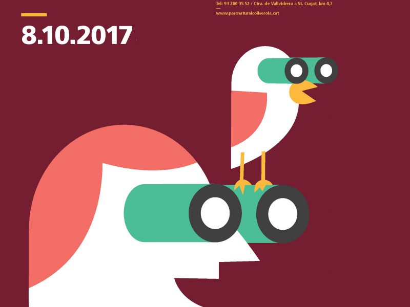 Cartell festa dels ocells 2017