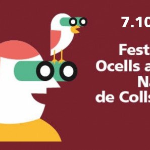 Festa dels ocells 2017